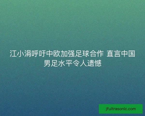 江小涓呼吁中欧加强足球合作 直言中国男足水平令人遗憾
